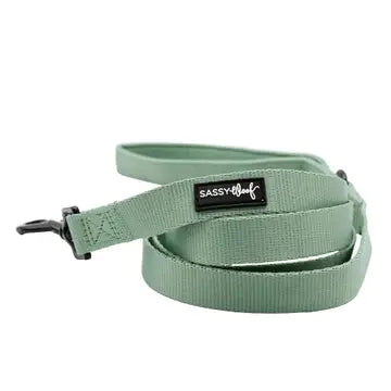 Sassy Woof Fabric Leash