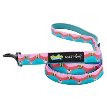 Sassy Woof Fabric Leash