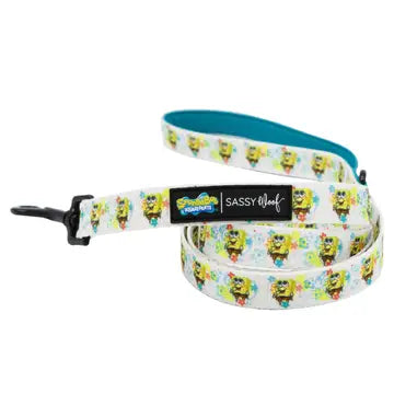 Sassy Woof Fabric Leash