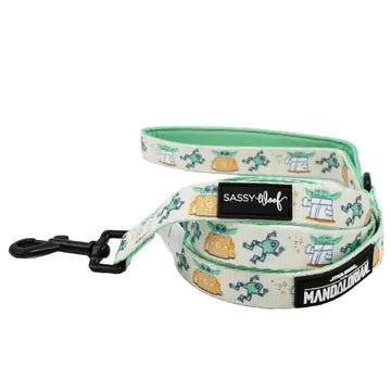 Sassy Woof Fabric Leash