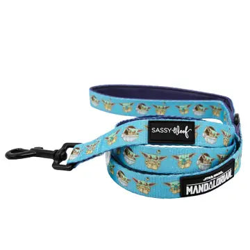 Sassy Woof Fabric Leash