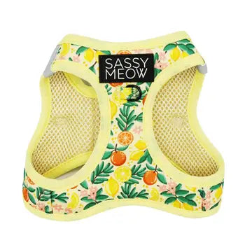 Sassy Woof Cat Harness