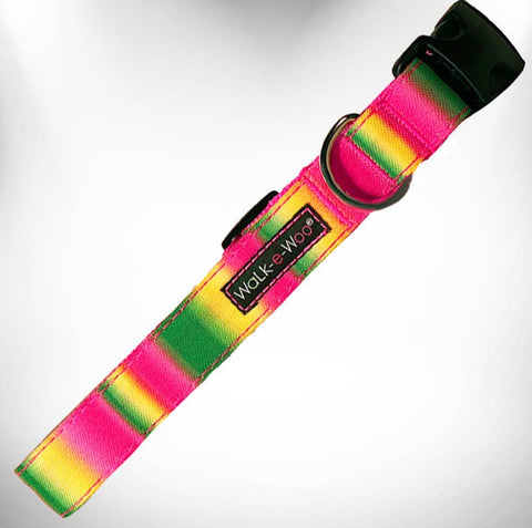 Walk-e-Woo Pink & Green Tie Dye Collar